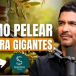 luis pineda santolivo
